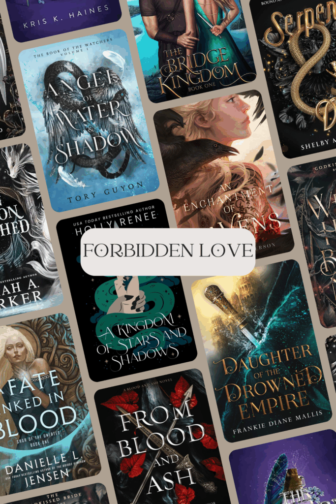 Forbidden romance book recs