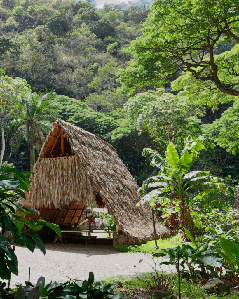 Photo of an archaeological site Waimea Valley.
